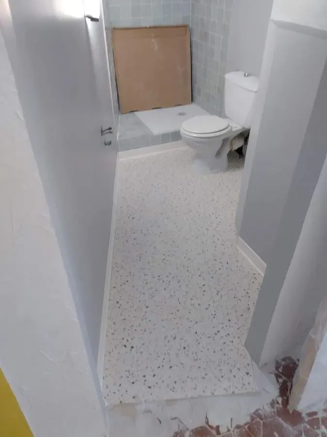 faux plafond (1)