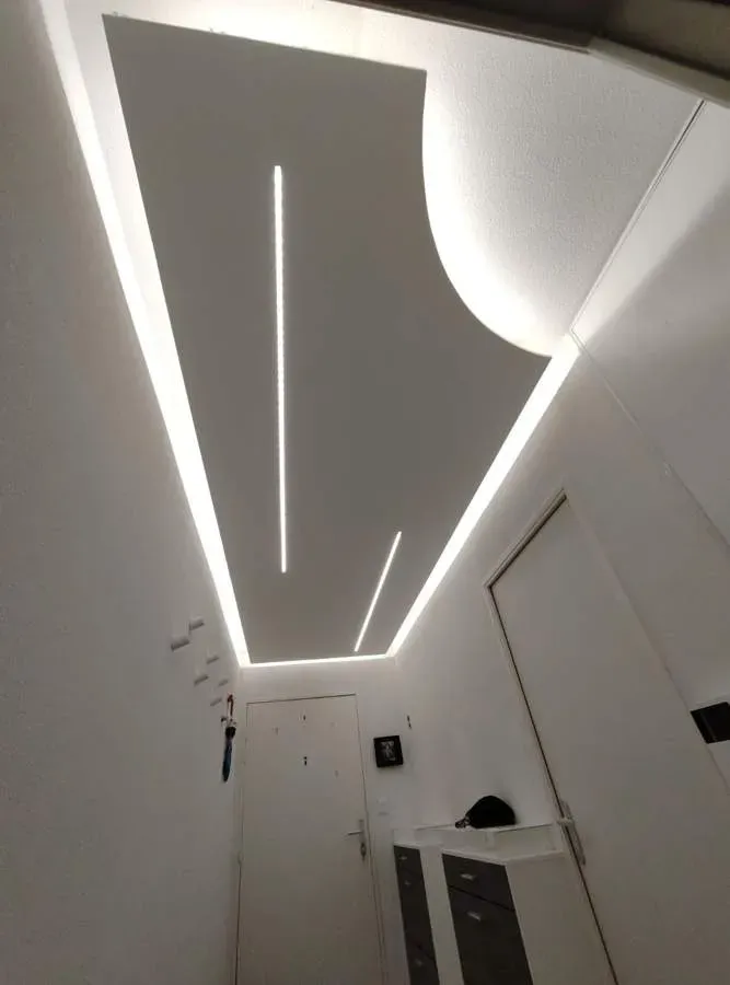 faux plafond (2)